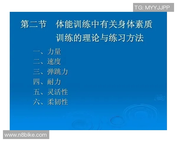 深圳排球队耐力对比深度解析与训练策略探讨